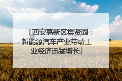 西安高新区集贤园：新能源汽车产业带动工业经济迅猛增长