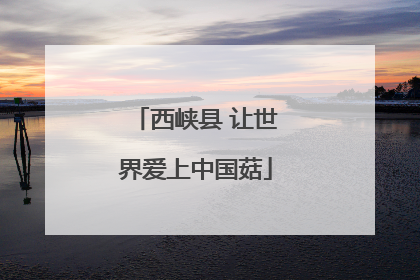 西峡县 让世界爱上中国菇