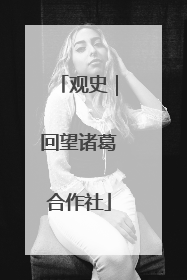 观史｜回望诸葛合作社