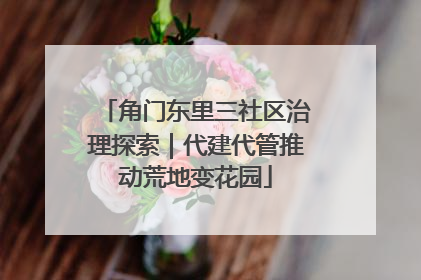 角门东里三社区治理探索|代建代管推动荒地变花园