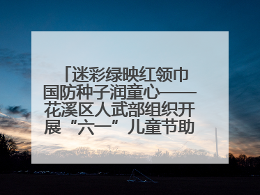 迷彩绿映红领巾 国防种子润童心——花溪区人武部组织开展“六一”儿童节助学兴教活动