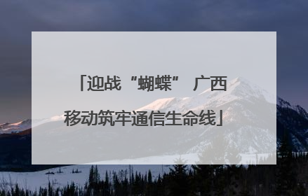 迎战“蝴蝶” 广西移动筑牢通信生命线
