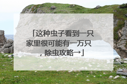这种虫子看到一只家里很可能有一万只，除虫攻略→