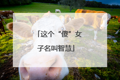这个“傻”女子名叫智慧