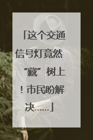 这个交通信号灯竟然“藏”树上！市民盼解决……