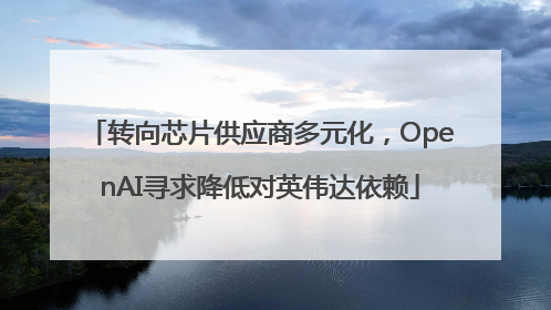 转向芯片供应商多元化，OpenAI寻求降低对英伟达依赖