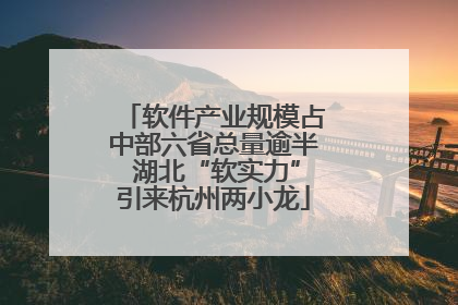 软件产业规模占中部六省总量逾半 湖北“软实力”引来杭州两小龙