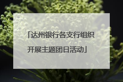 达州银行各支行组织开展主题团日活动