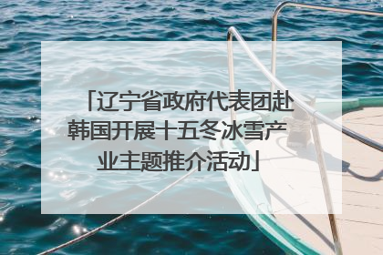 辽宁省政府代表团赴韩国开展十五冬冰雪产业主题推介活动
