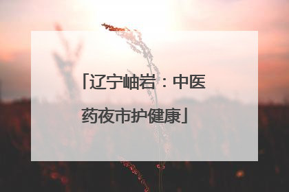 辽宁岫岩：中医药夜市护健康