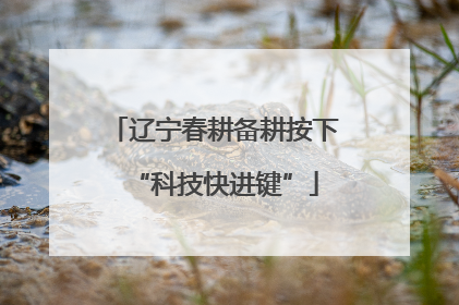 辽宁春耕备耕按下“科技快进键”