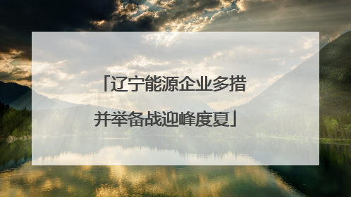 辽宁能源企业多措并举备战迎峰度夏