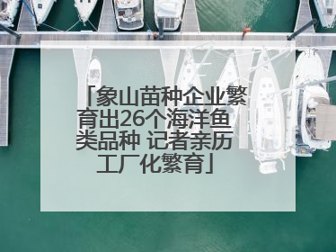 象山苗种企业繁育出26个海洋鱼类品种 记者亲历工厂化繁育