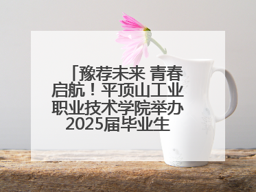 豫荐未来 青春启航！平顶山工业职业技术学院举办2025届毕业生夏季招聘会