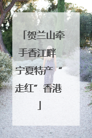 贺兰山牵手香江畔 宁夏特产“走红”香港
