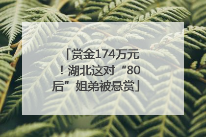 赏金174万元！湖北这对“80后”姐弟被悬赏