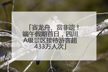 赛龙舟、赏非遗！端午假期首日，四川A级景区接待游客超433万人次