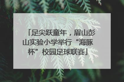 足尖跃童年，眉山彭山实验小学举行“海豚杯”校园足球联赛