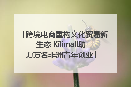 跨境电商重构文化贸易新生态 Kilimall助力万名非洲青年创业