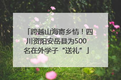 跨越山海寄乡情！四川资阳安岳县为500名在外学子“送礼”