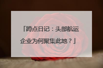 蹲点日记：头部航运企业为何聚集此地？