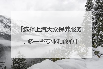 选择上汽大众保养服务，多一些专业和放心