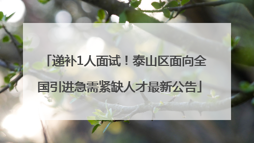 递补1人面试！泰山区面向全国引进急需紧缺人才最新公告
