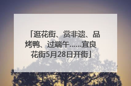 逛花街、赏非遗、品烤鸭、过端午……宜良花街5月28日开街