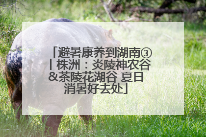 避暑康养到湖南③丨株洲：炎陵神农谷&茶陵花湖谷 夏日消暑好去处