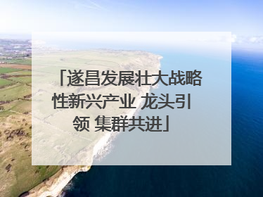 遂昌发展壮大战略性新兴产业 龙头引领 集群共进