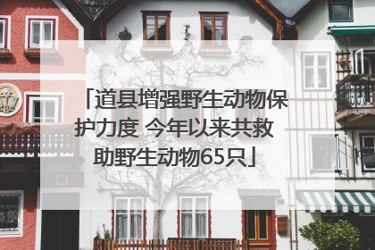 道县增强野生动物保护力度 今年以来共救助野生动物65只