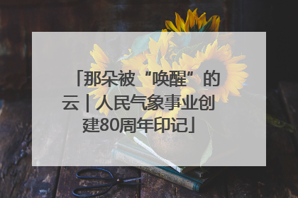那朵被“唤醒”的云｜人民气象事业创建80周年印记