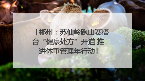 郴州：苏仙岭跑山赛搭台“健康处方”开道 推进体重管理年行动