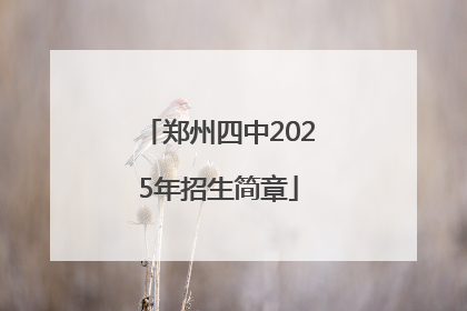 郑州四中2025年招生简章