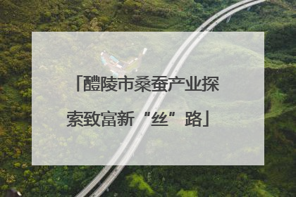 醴陵市桑蚕产业探索致富新“丝”路