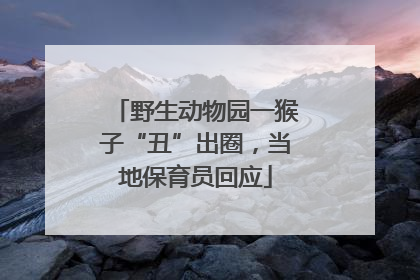 野生动物园一猴子“丑”出圈，当地保育员回应