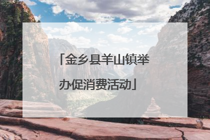 金乡县羊山镇举办促消费活动