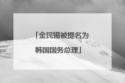 金民锡被提名为韩国国务总理