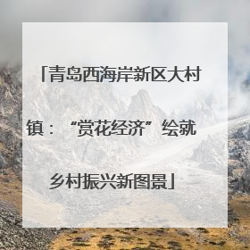 青岛西海岸新区大村镇：“赏花经济”绘就乡村振兴新图景