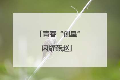 青春“创星” 闪耀燕赵