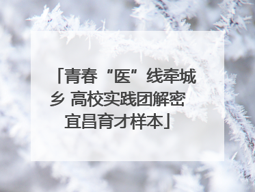 青春“医”线牵城乡 高校实践团解密宜昌育才样本