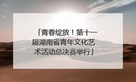 青春绽放！第十一届湖南省青年文化艺术活动总决赛举行