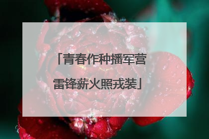 青春作种播军营 雷锋薪火照戎装