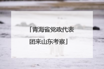 青海省党政代表团来山东考察