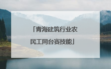 青海建筑行业农民工同台赛技能
