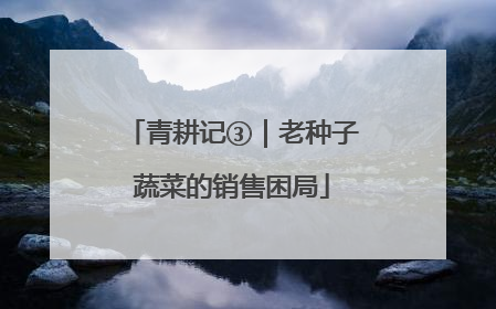 青耕记③｜老种子蔬菜的销售困局