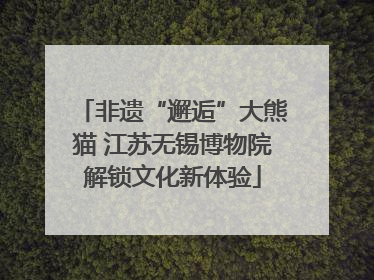 非遗“邂逅”大熊猫 江苏无锡博物院解锁文化新体验
