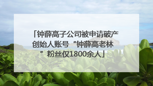 钟薛高子公司被申请破产 创始人账号“钟薛高老林”粉丝仅1800余人