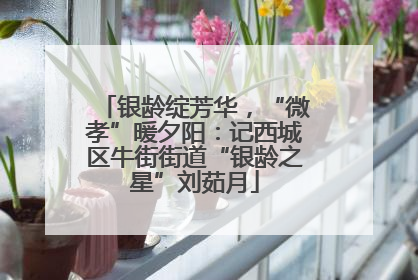 银龄绽芳华，“微孝”暖夕阳：记西城区牛街街道“银龄之星”刘茹月