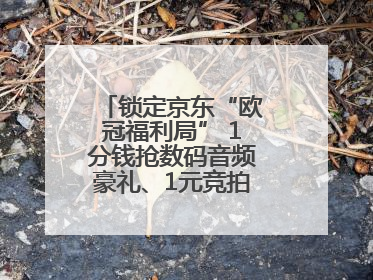 锁定京东“欧冠福利局” 1分钱抢数码音频豪礼、1元竞拍巨星亲签球衣